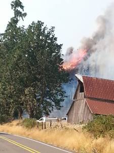 11866502_1625459494375807_2767141427196312650_n