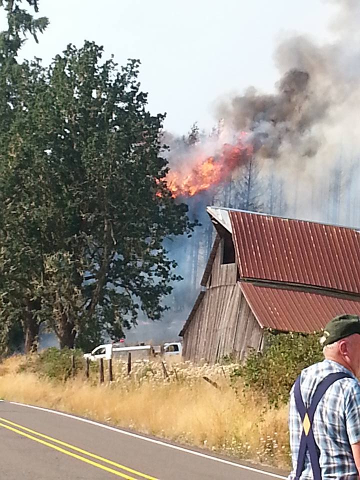 11880428_1625458754375881_655578872988918707_n