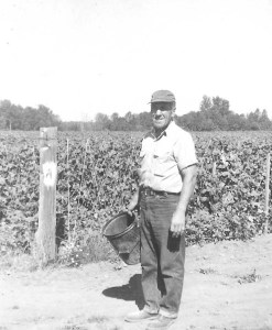 Daddy in beanfield
