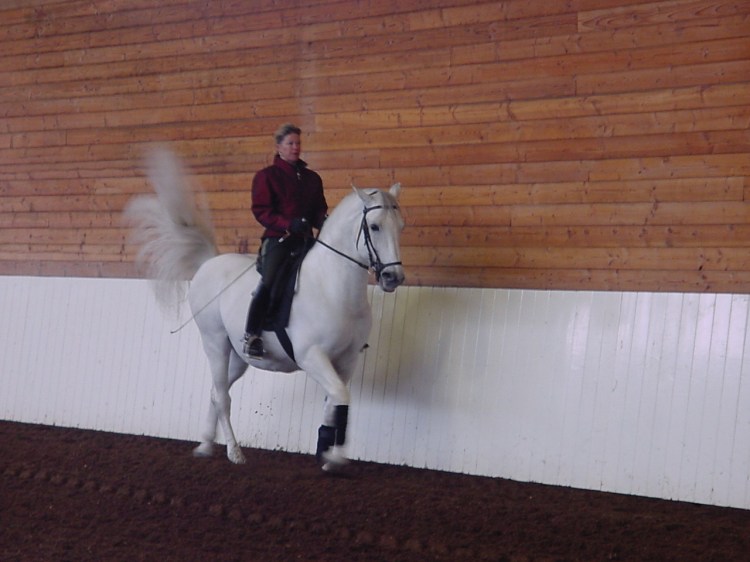 Contessa on the rail