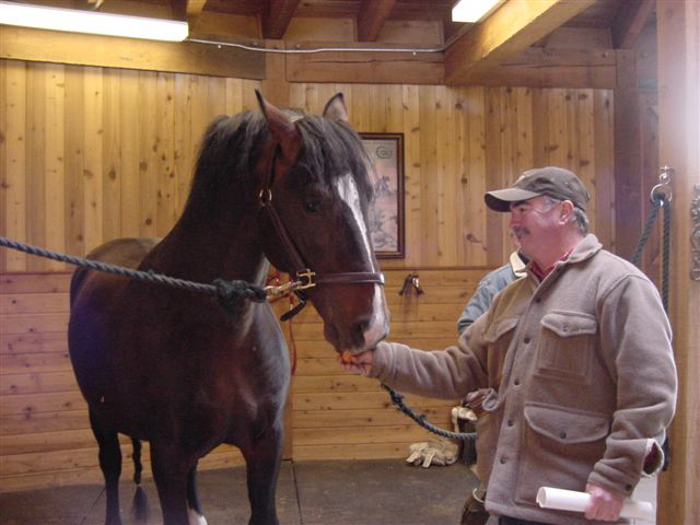 Greg &amp; Pluto Tucsok 44