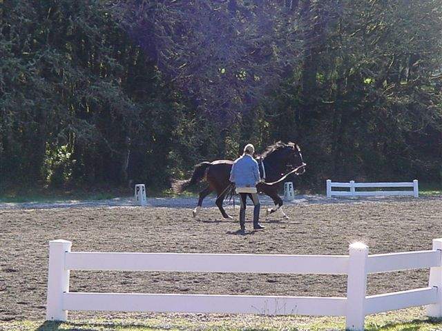 Tracey &amp; Tücsök