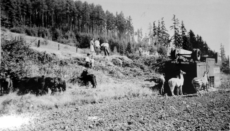 Circus Wagon rollover - Booher